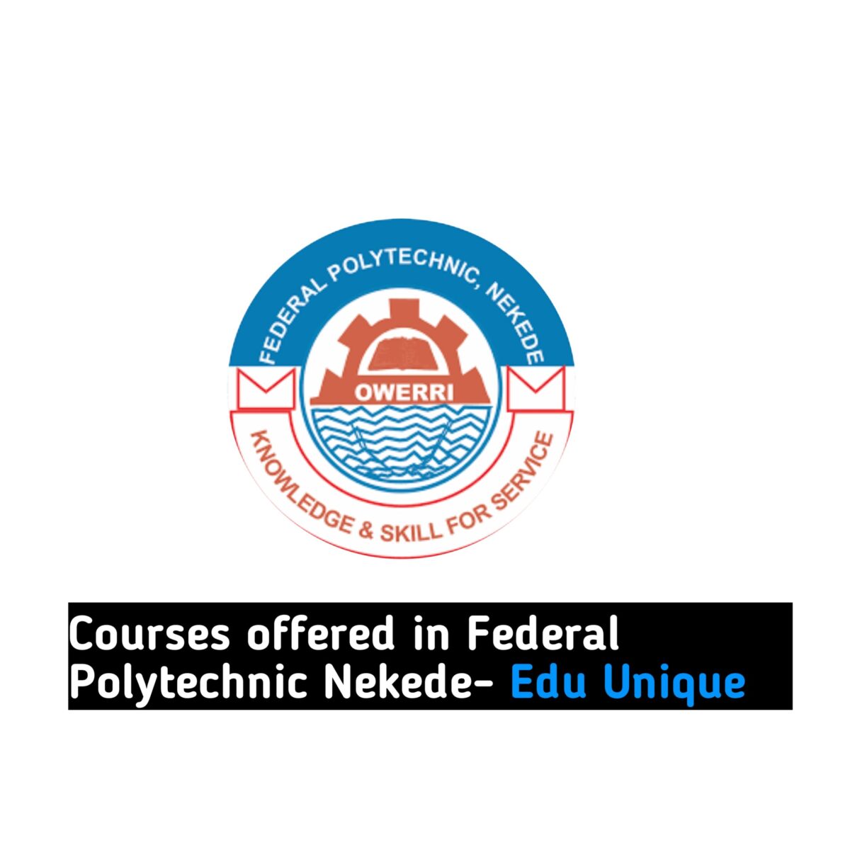 courses offered in Federal Polytechnic Nekede