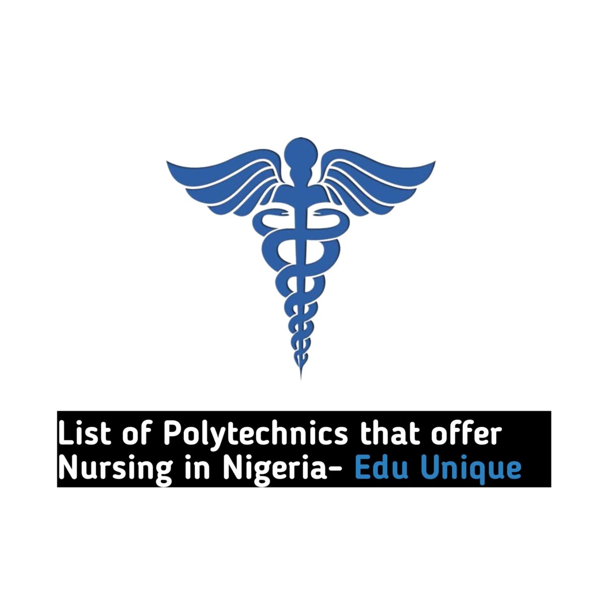 List of Polytechnics that offer Nursing in Nigeria