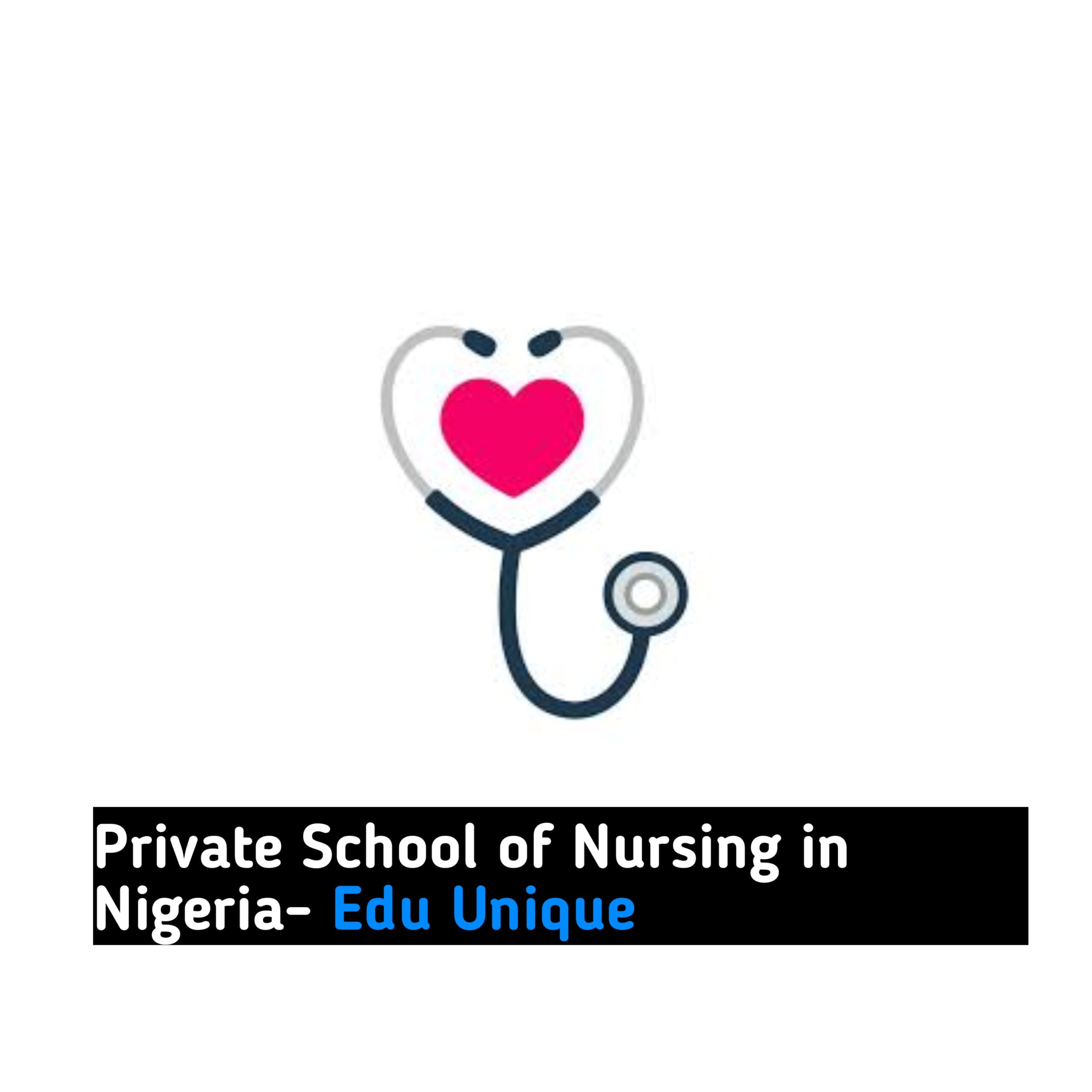 Private School of Nursing in Nigeria