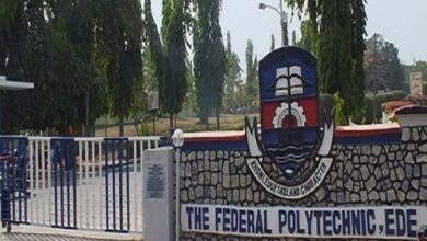 Federal polytechnic ede school fees 2024