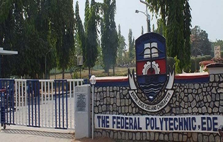 Federal polytechnic ede school fees 2024